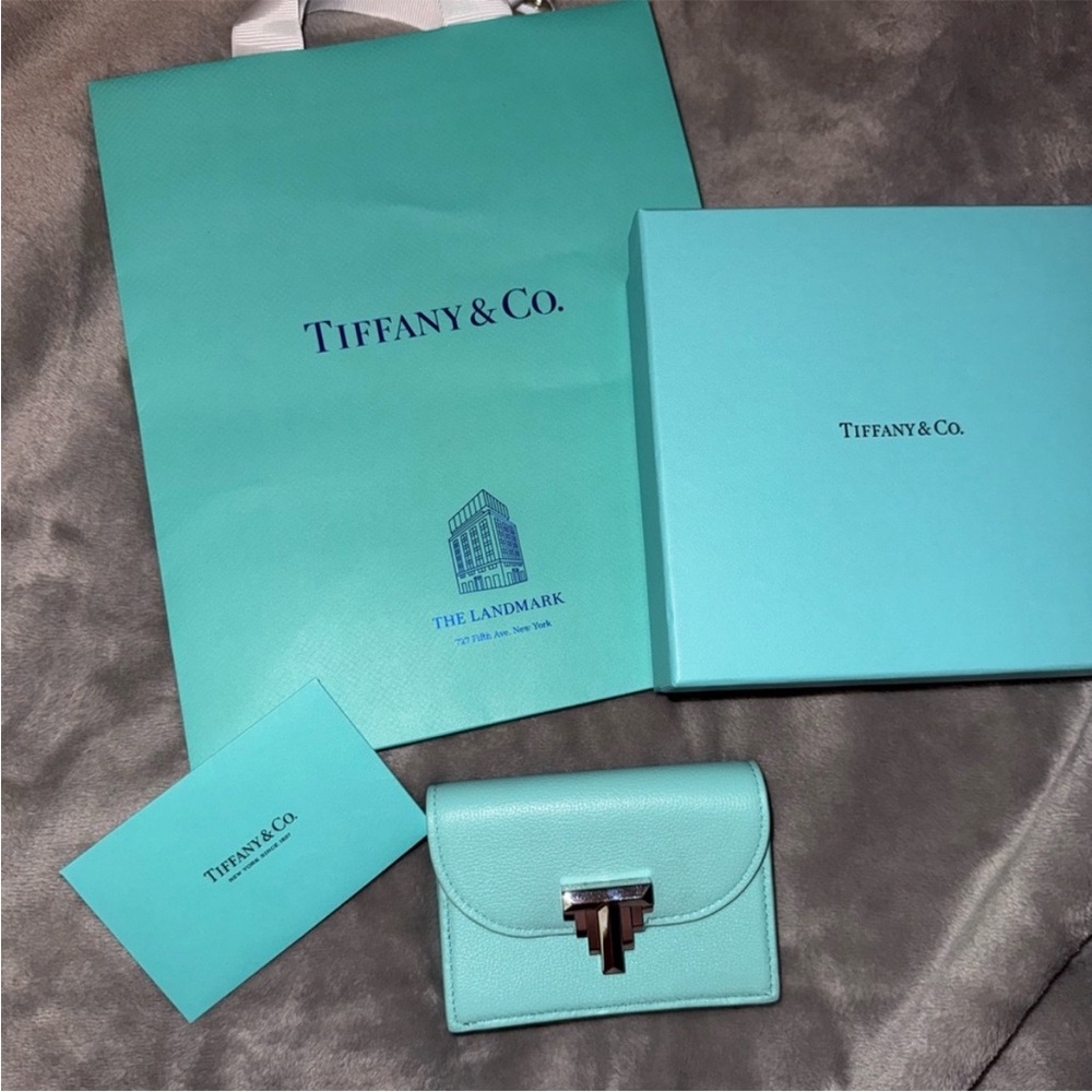 Tiffany & Co. Robin's Egg Blue Leather Card Case with Silver Hardware